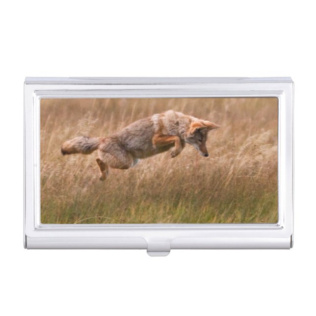 Coyote Leaping - Gibbon Meadows Business Card Case (Front)
