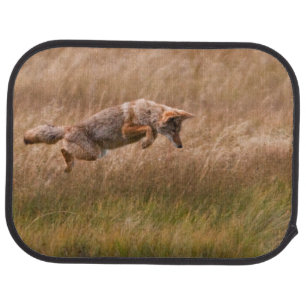 Coyote Leaping - Gibbon Meadows Car Mat