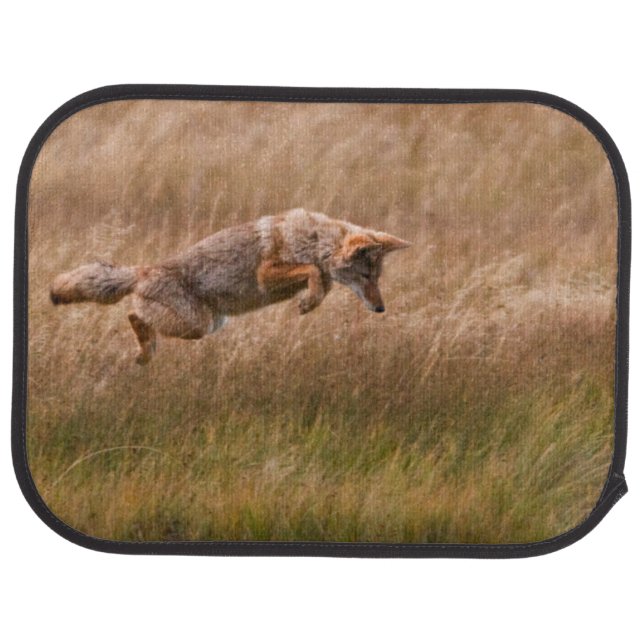 Coyote Leaping - Gibbon Meadows Car Mat (Rear)