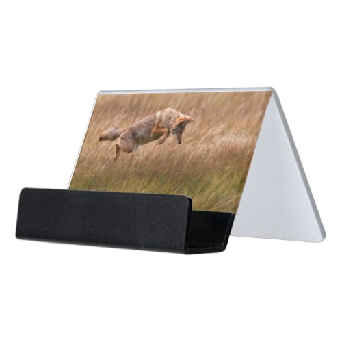 Coyote Leaping _ Gibbon Meadows Desk Business Card Holder