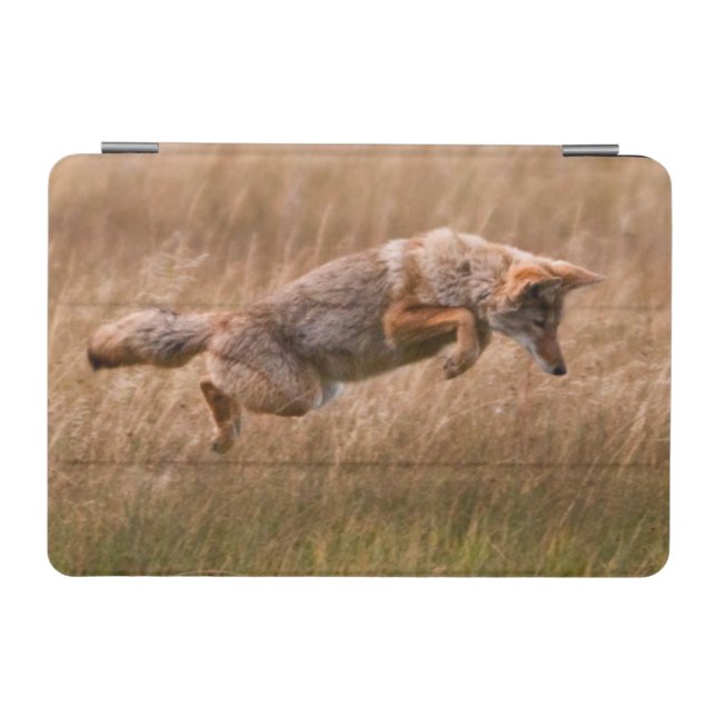 Coyote Leaping - Gibbon Meadows iPad Mini Cover (Horizontal)