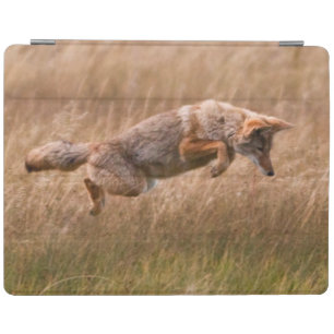 Coyote Leaping - Gibbon Meadows iPad Smart Cover