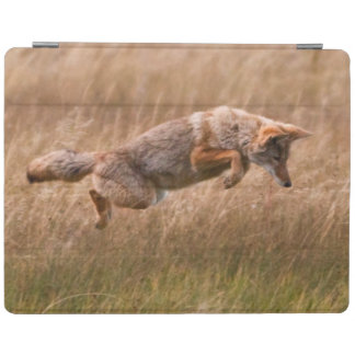 Coyote Leaping - Gibbon Meadows iPad Smart Cover
