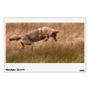 Coyote Leaping - Gibbon Meadows Wall Sticker