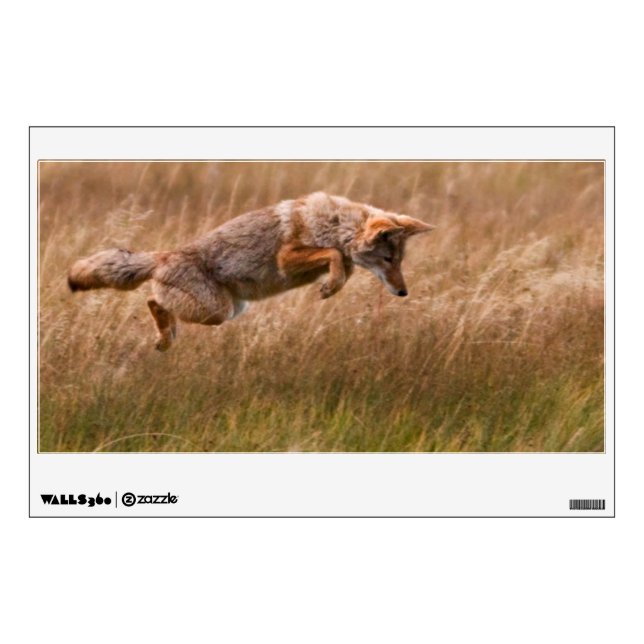 Coyote Leaping - Gibbon Meadows Wall Sticker (Front)