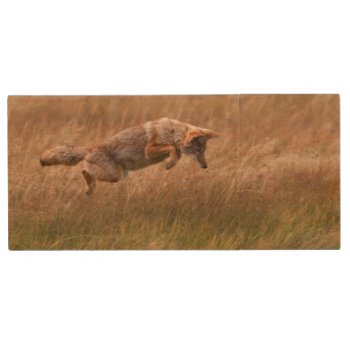 Coyote Leaping - Gibbon Meadows Wood Usb Flash Drive by usyellowstone at Zazzle
