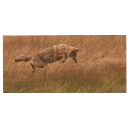 Coyote Leaping - Gibbon Meadows Wood Usb Flash Drive
