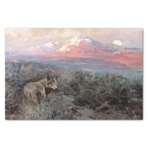 Coyote Moonrise by Frank Tenney Johnson Tissue Paper