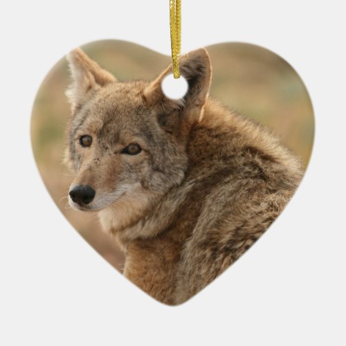 Coyote Ornament