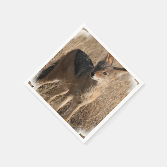 Coyote Paper Napkins (Corner)