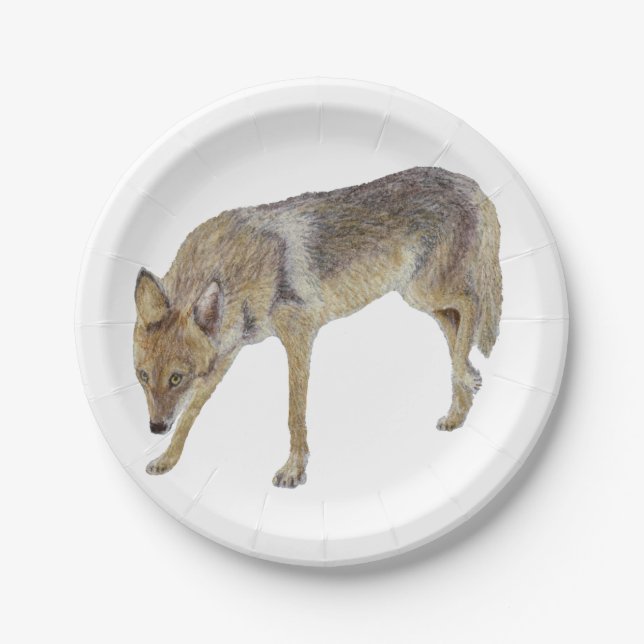 Coyote Paper Plates (Front)