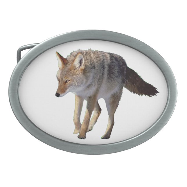 "Coyote Pewter Belt Buckle" Belt Buckle (Front)