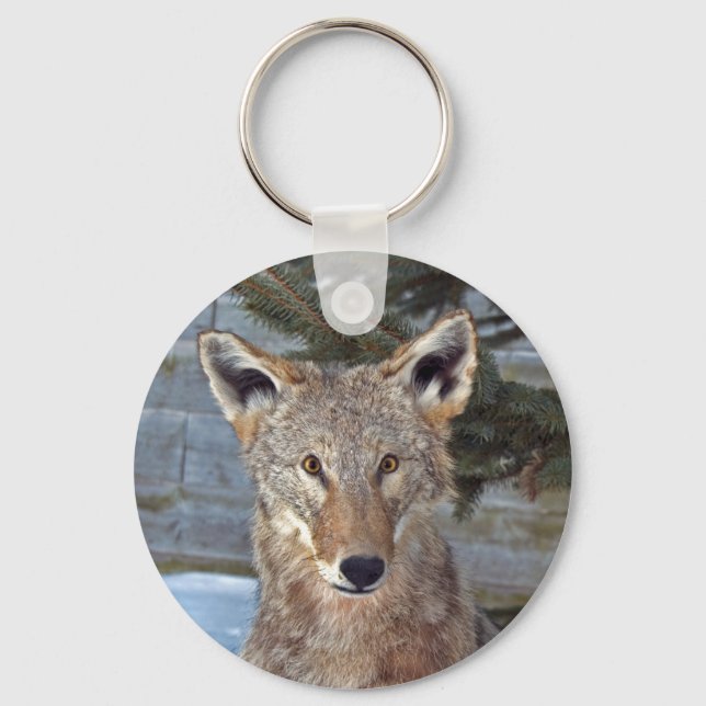 Coyote Portrait Keychain (Front)