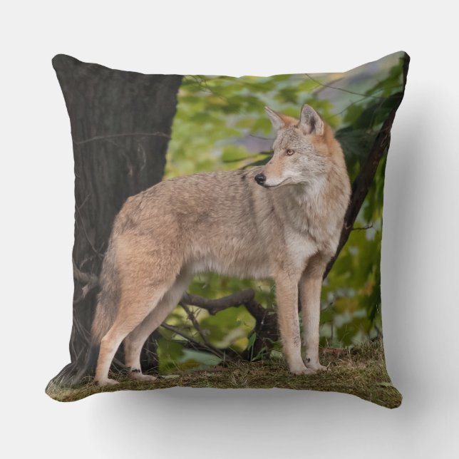 Coyote Pretty  Throw Pillow (Front)