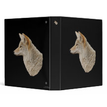 coyote profile