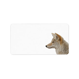 Coyote Profile Label
