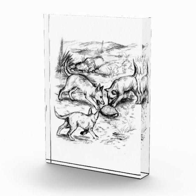 Coyote Pups Award (Right)