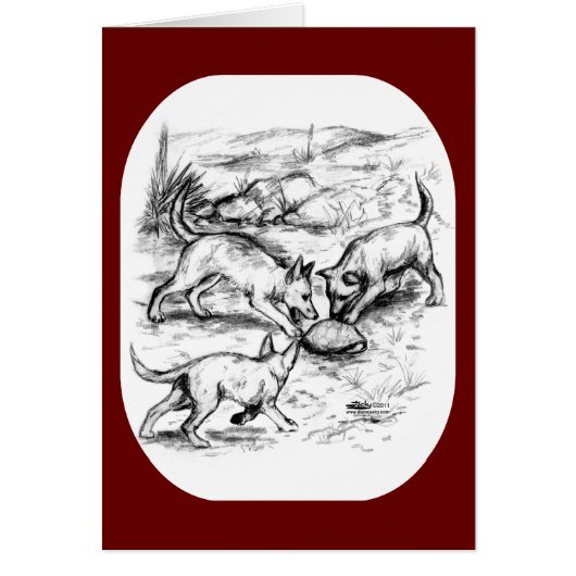 Coyote Pups Cards (Front)