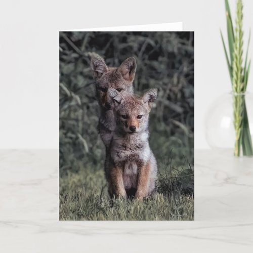 Coyote Pups  Thank You Card
