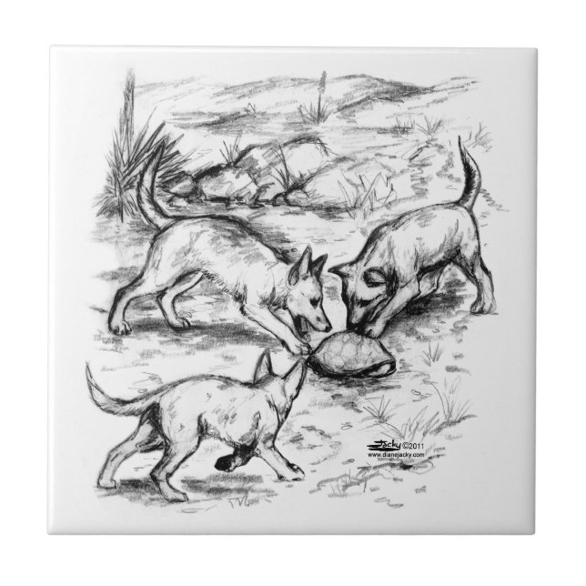 Coyote Pups Tile (Front)