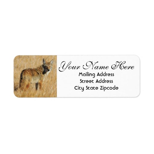 Coyote Return Address Label