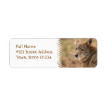 Coyote Return Address Mailing Label