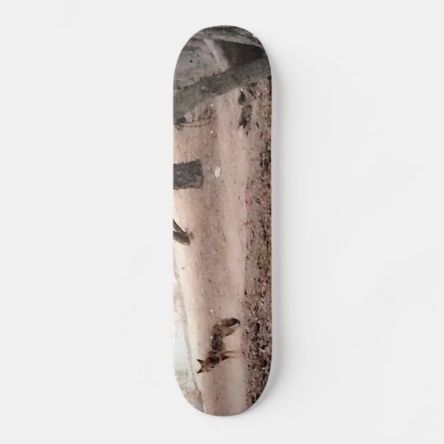 COYOTE Skateboard (Front)