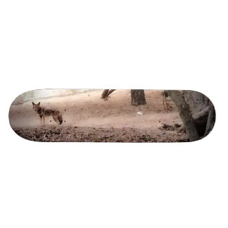 COYOTE Skateboard Deck