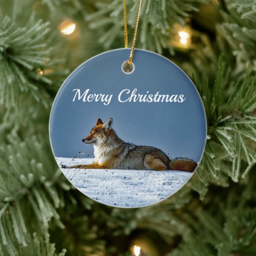 Coyote Snow Photo Ceramic Ornament