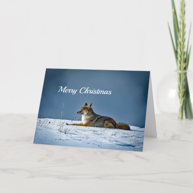Coyote Snow Photo Christmas Holiday Card (Front)