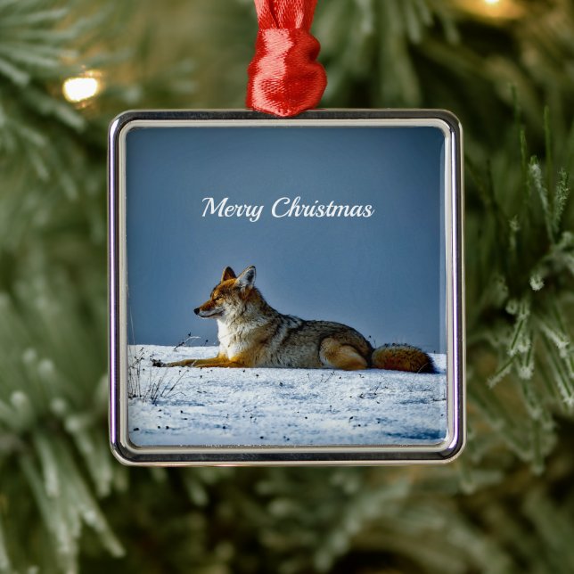 Coyote Snow Photo Christmas Metal Ornament (Tree)