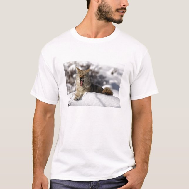 Coyote Snow Yawn T-Shirt (Front)