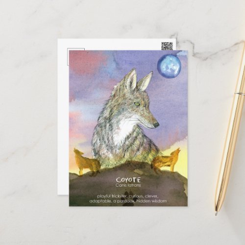 Coyote Wildlife Totem Animal Full Moon Sunset  Postcard