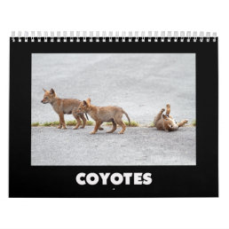 Coyotes Calendar