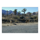 Coyotes on the Prowl (Front Horizontal)