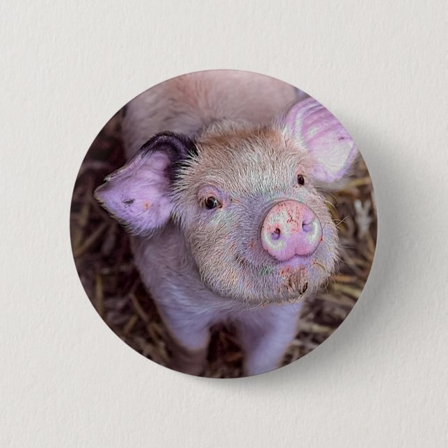 Cozmico Button (Front)