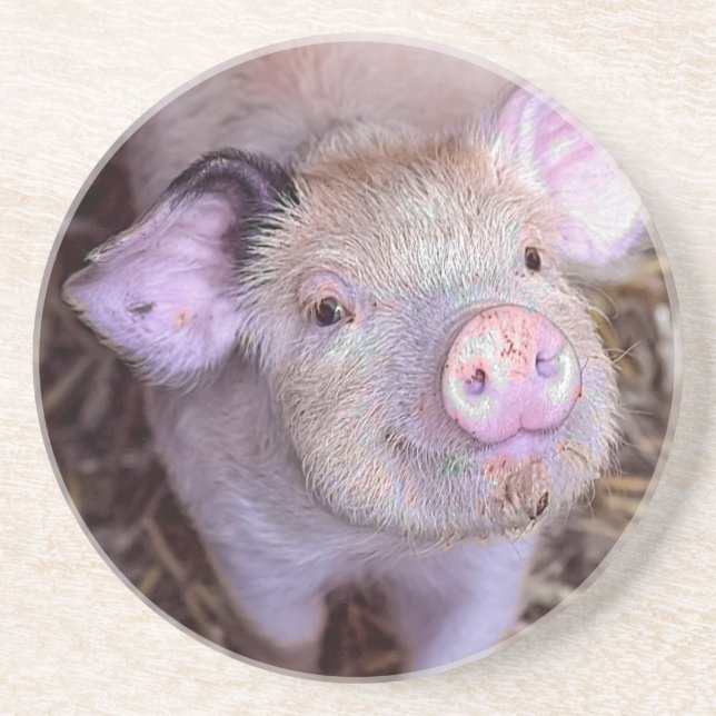 Cozmico Coaster (Front)