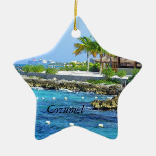 Cozumel Chankanaab Park Travel Christmas Ornament