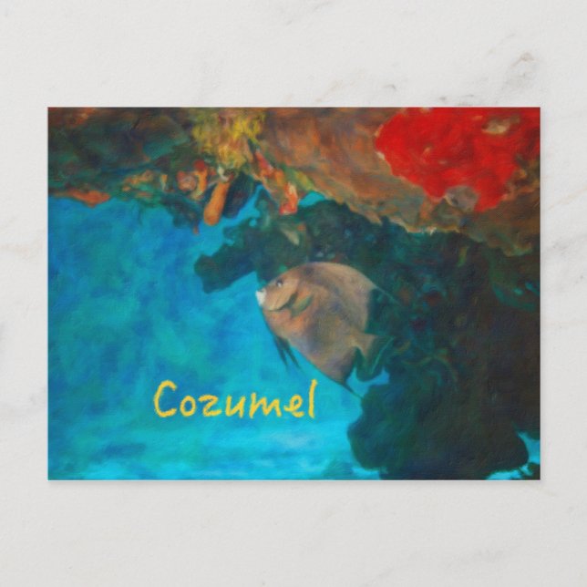 Cozumel Coral Reef Postcard (Front)