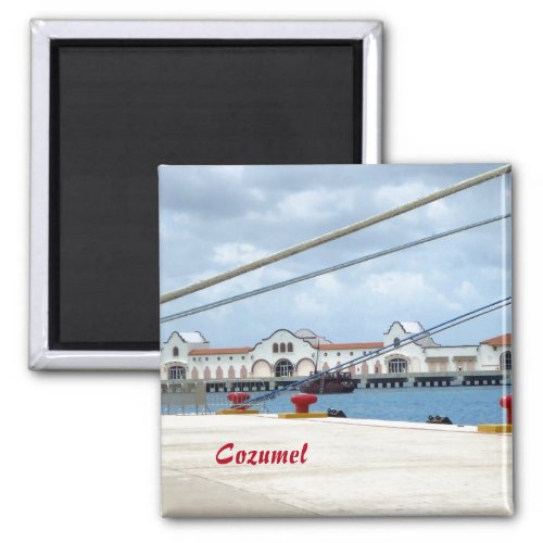 Cozumel Dockside Magnet