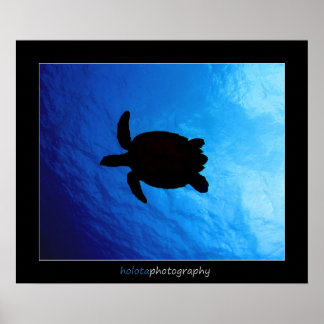 Cozumel - Hawksbill #011 Poster