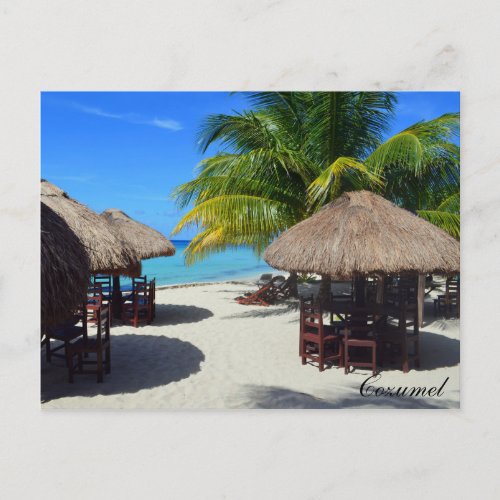 Cozumel Mexico Beach Hut Palm Tree Teal Water Vaca Postcard