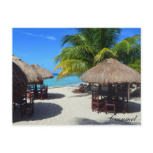 Cozumel Mexico Beach Hut Palm Tree Teal Water Vaca