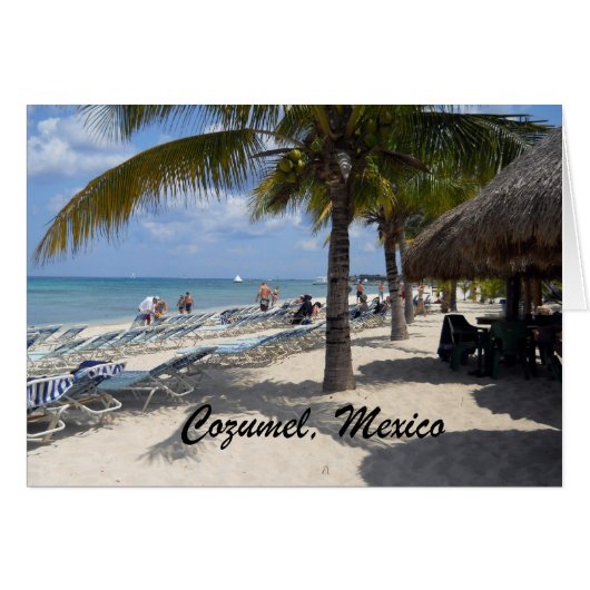 Cozumel, Mexico Cards (Front Horizontal)