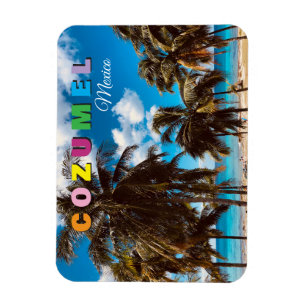 Cozumel Mexico Magnet