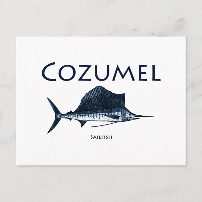 Cozumel Sailfish Postcard (Front)