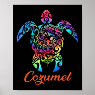 Cozumel Sea Turtle Family Vacation Summer 2025  Poster