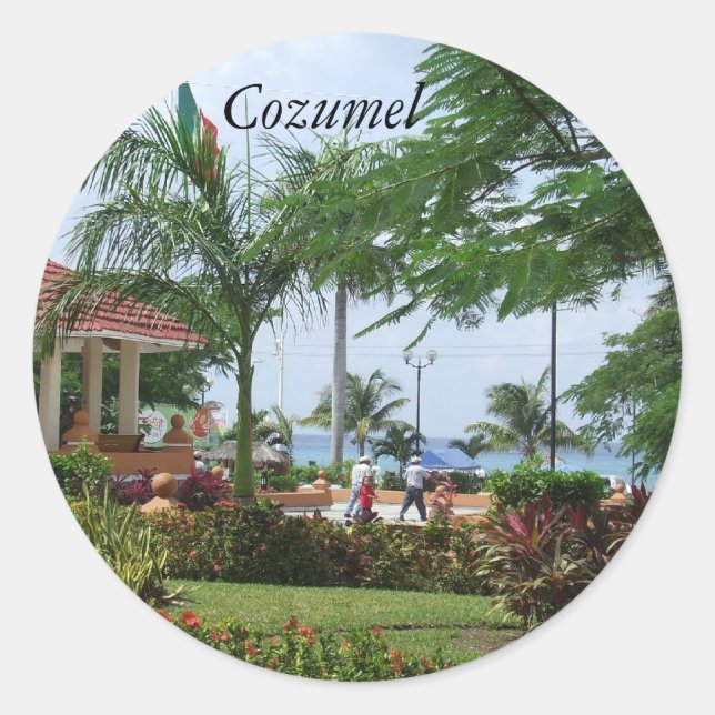 Cozumel Tropical Palm Tree Stickers (Front)
