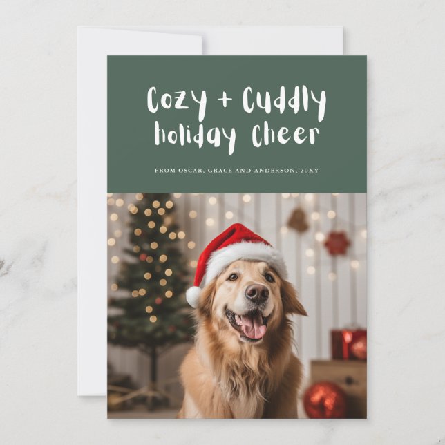 Cozy and Cuddly Cheer Green Cute Pet Family Photo Holiday Card (Front)