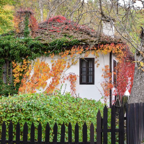 Cozy Autumn Cottage Countryside Architecture Throw Pillow